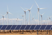 creative_gallery_image_aio-widget-creative_gallery_image-1250006-template